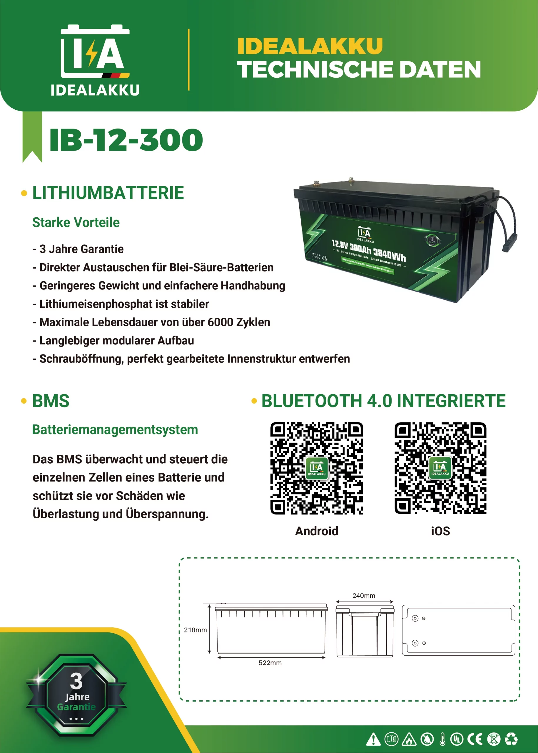 Idealakku IB-12-300 Datenblatt Seite 1